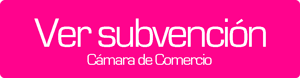 subvencion-camara-comercio-diseno-pagina-web